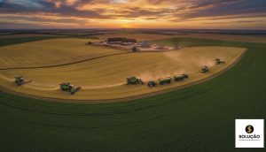 Contabilidade para Produtor de Soja: 5 Estratégias Para Maximizar Lucros e Evitar Erros Legais