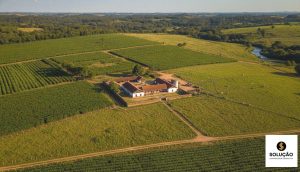 ITR Declaração Imposto Territorial Rural: Evite Erros e Multas com o Guia Mais Atualizado de 2024